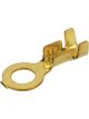 Narva Ring Terminal Brass 4.3 mm Pack of 100