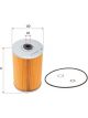 Sakura Fuel Filter