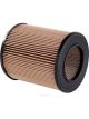 Ryco Air Filter