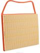 Ryco Air Filter