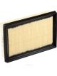 Ryco Air Filter