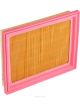 Ryco Air Filter