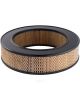 Ryco Air Filter