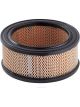 Ryco Air Filter