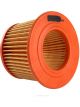 Ryco Air Filter