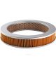 Ryco Air Filter