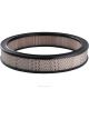 Ryco Air Filter