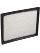 Ryco Air Filter