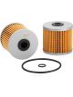 Ryco Fuel Filter