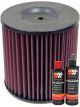 K&N Air Filter E-2415 + Recharge Kit