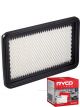 Ryco Air Filter A1206 + Service Stickers