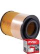 Ryco Air Filter A1387 + Service Stickers