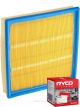 Ryco Air Filter A1480 + Service Stickers