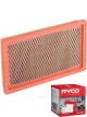 Ryco Air Filter A1591 + Service Stickers