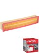 Ryco Air Filter A1610 + Service Stickers