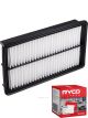 Ryco Air Filter A1636 + Service Stickers