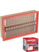 Ryco Air Filter A1676 + Service Stickers