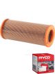 Ryco Air Filter A1706 + Service Stickers