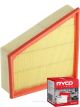 Ryco Air Filter A1715 + Service Stickers