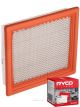 Ryco Air Filter A1739 + Service Stickers