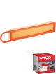 Ryco Air Filter A1750 + Service Stickers
