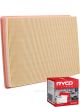 Ryco Air Filter A1789 + Service Stickers