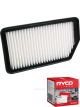 Ryco Air Filter A1793 + Service Stickers