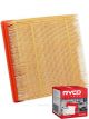 Ryco Air Filter A1795 + Service Stickers