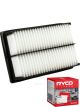 Ryco Air Filter A1800 + Service Stickers