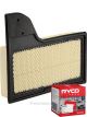 Ryco Air Filter A1942 + Service Stickers