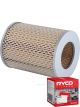Ryco Air Filter A209 + Service Stickers