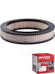 Ryco Air Filter A217 + Service Stickers