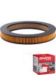 Ryco Air Filter A338 + Service Stickers