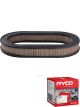 Ryco Air Filter A343 + Service Stickers