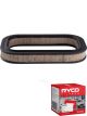 Ryco Air Filter A443 + Service Stickers