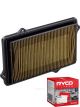 Ryco Air Filter A458 + Service Stickers