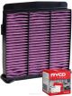 Ryco Cabin Air Filter Microshield RCA206MS + Service Stickers