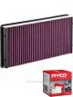 Ryco Cabin Air Filter Microshield RCA392MS + Service Stickers