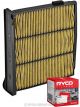 Ryco Cabin Air Filter N99 MicroShield RCA206M + Service Stickers