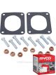 Ryco Diesel Particulate Filter RPF217 + Service Stickers