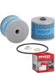 Ryco Fuel Filter R2005P + Service Stickers