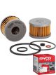Ryco Fuel Filter R2045P + Service Stickers