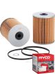 Ryco Fuel Filter R2408P + Service Stickers