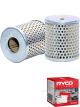 Ryco Fuel Filter R2448P + Service Stickers