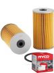 Ryco Fuel Filter R2452P + Service Stickers