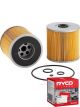 Ryco Fuel Filter R2493P + Service Stickers