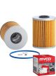 Ryco Oil Filter R2582P + Service Stickers