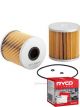 Ryco Fuel Filter R2607P + Service Stickers