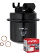 Ryco Fuel Filter Z413 + Service Stickers