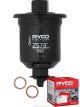 Ryco Fuel Filter Z573 + Service Stickers